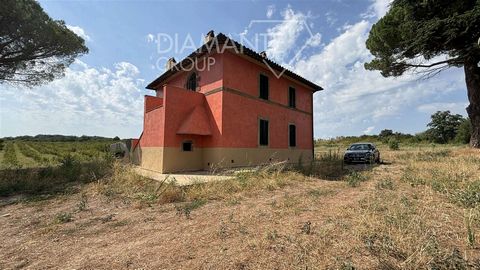 Farnese (VT): Azienda agricola di 142 ettari di terreno con Noccioleto, casale ed annesso così composto: - 37 ettari circa di Noccioleto di qualità tonda Gentile Romana e Giffoni con sesto d’impianto di 480x 480 mt in parte da reimpiantare; - 26,5 et...